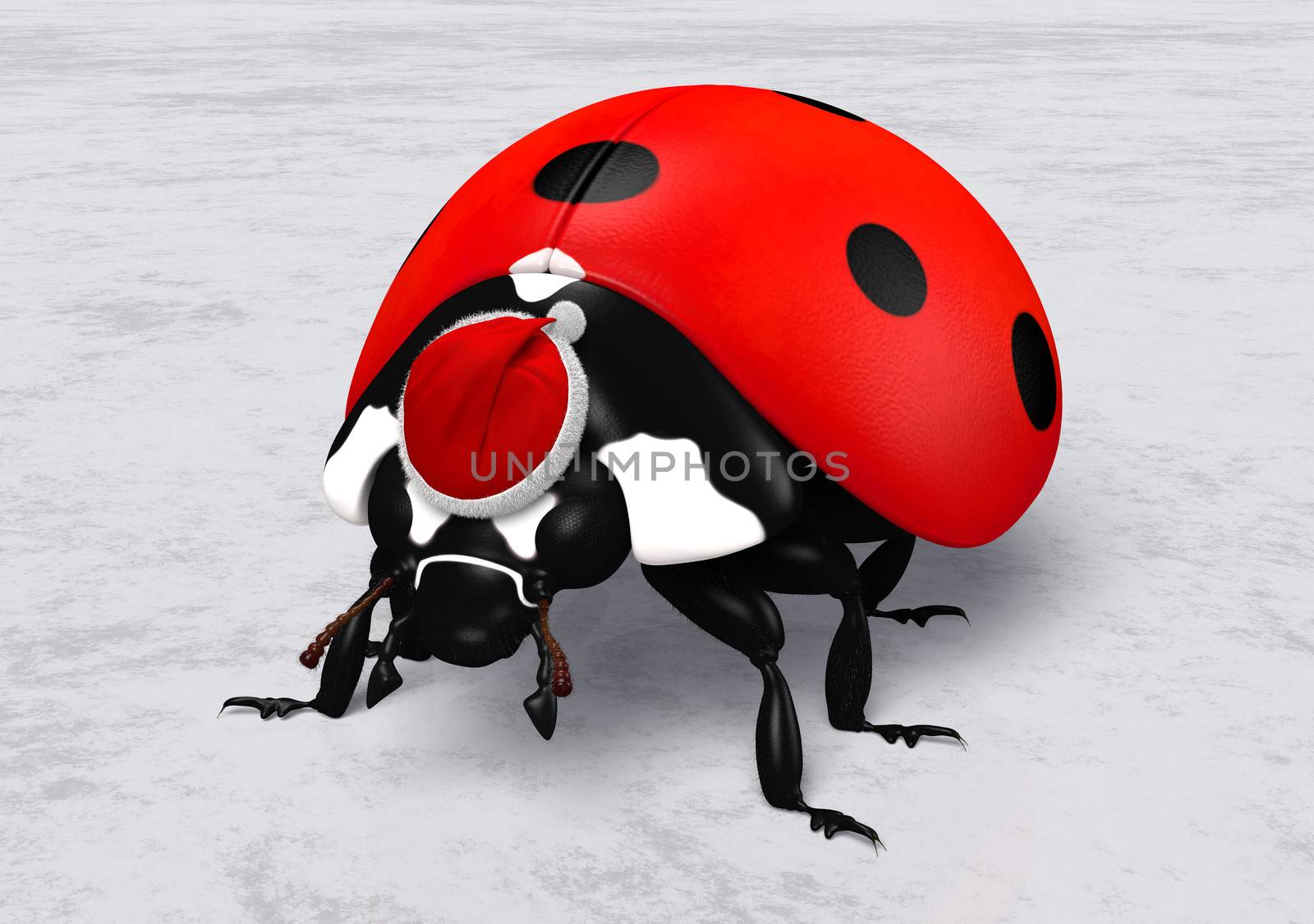 closeup of a ladybird that wears on its head a Santa Claus red hat on a white and grey abstract ground