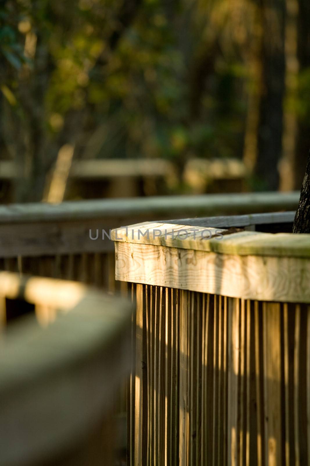 Details of a boardwalk crossing a forest, Everglades National Park, Florida, USA