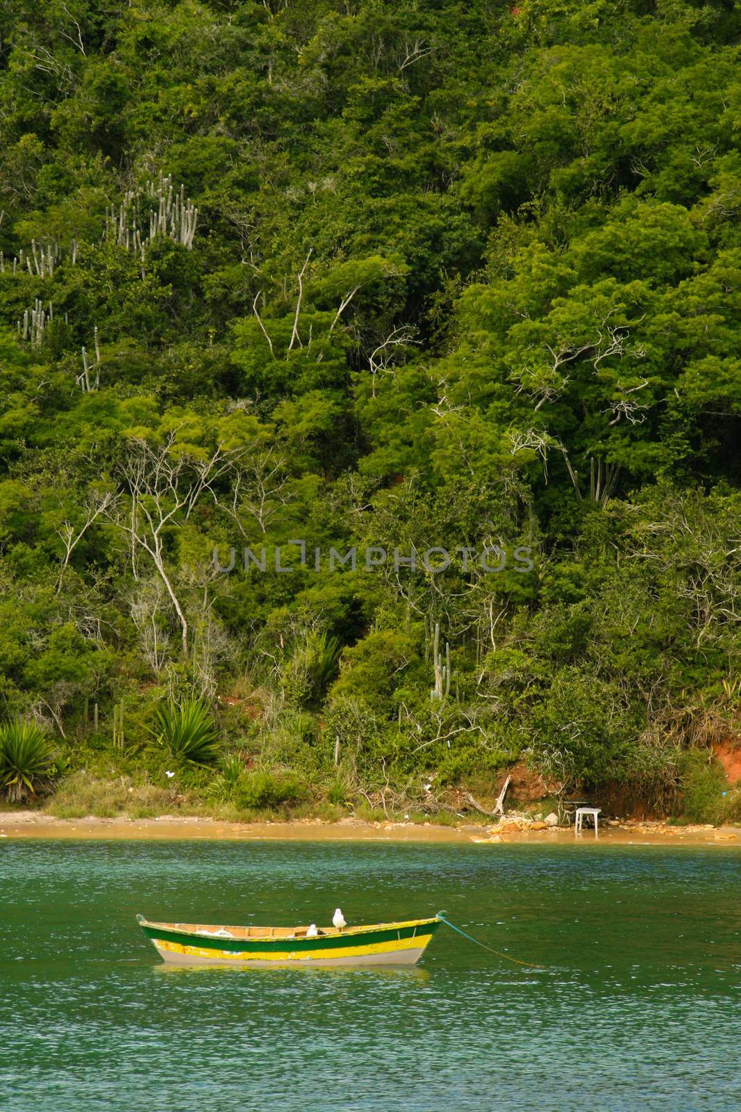 Boat in the sea, Buzios, Rio De Janeiro, Brazil