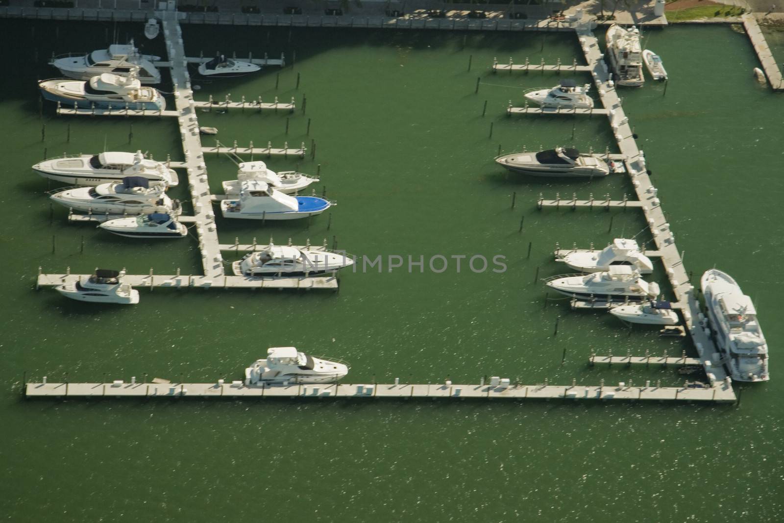 Boats in Miami marina by CelsoDiniz