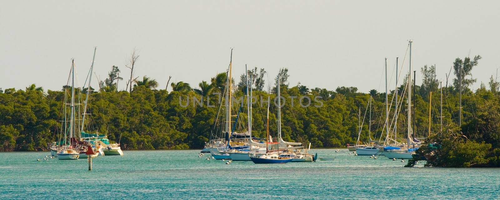 Boats in an Atlantic ocean, Miami, Miami-Dade County, Florida, USA