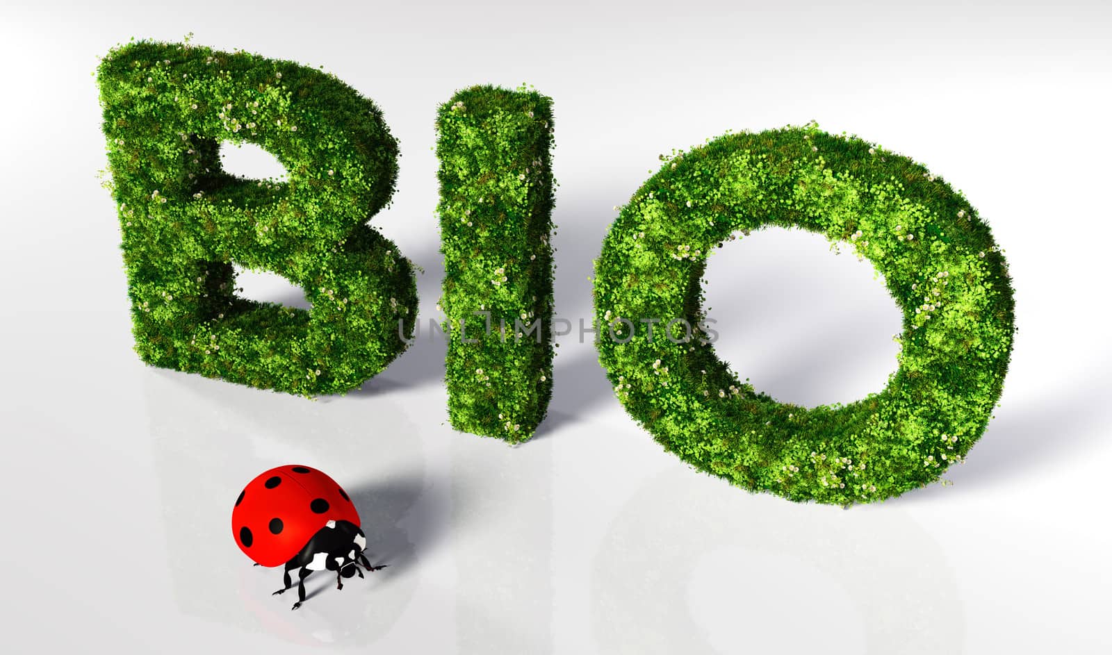 bio text covered by grass and flowers, and a small ladybug in front of it are on a white ground