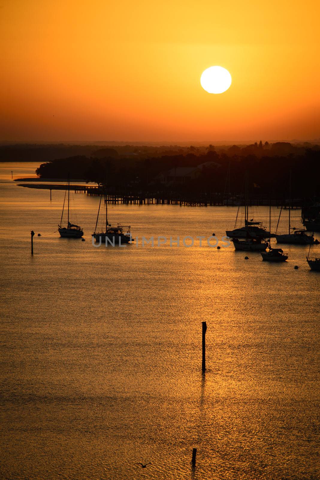 Silhouette of boats in the Atlantic ocean, Fort Myers, Lee County, Florida, USA