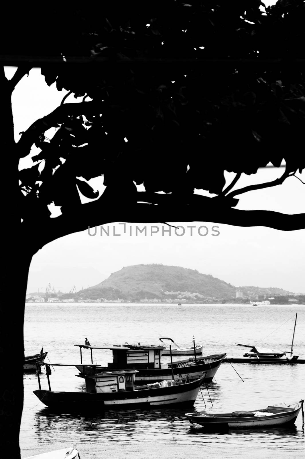 Black and white scenic view of boats moored along coastline of Rio de Janeiro city with silhouetted tree in foreground, Brazil.