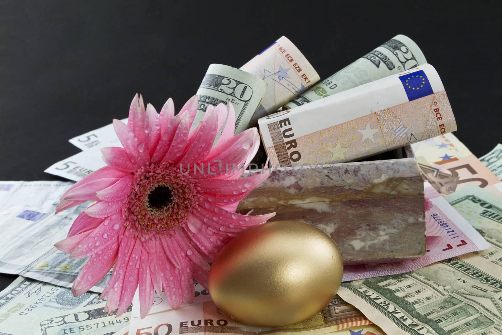 Pink daisy with fresh dew placed with gold egg on multiple, global currencies against black and in marble box reflect strong, worldwide financial success. Flower in pink suggests feminine involvement and leadership. 