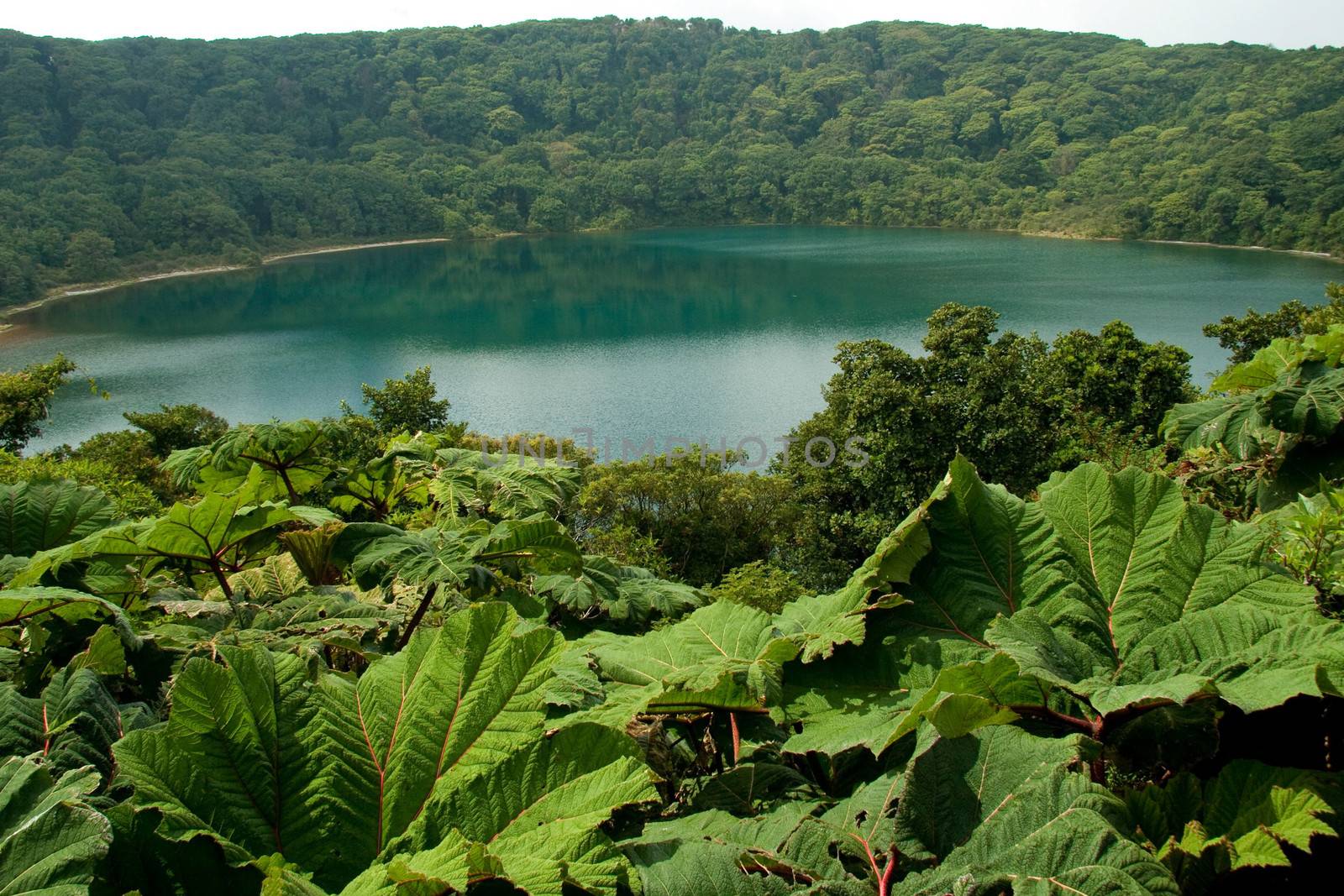 Scenic view of Botos Lake or Lagoon, Poas Volcano National Park, Costa, Rica.