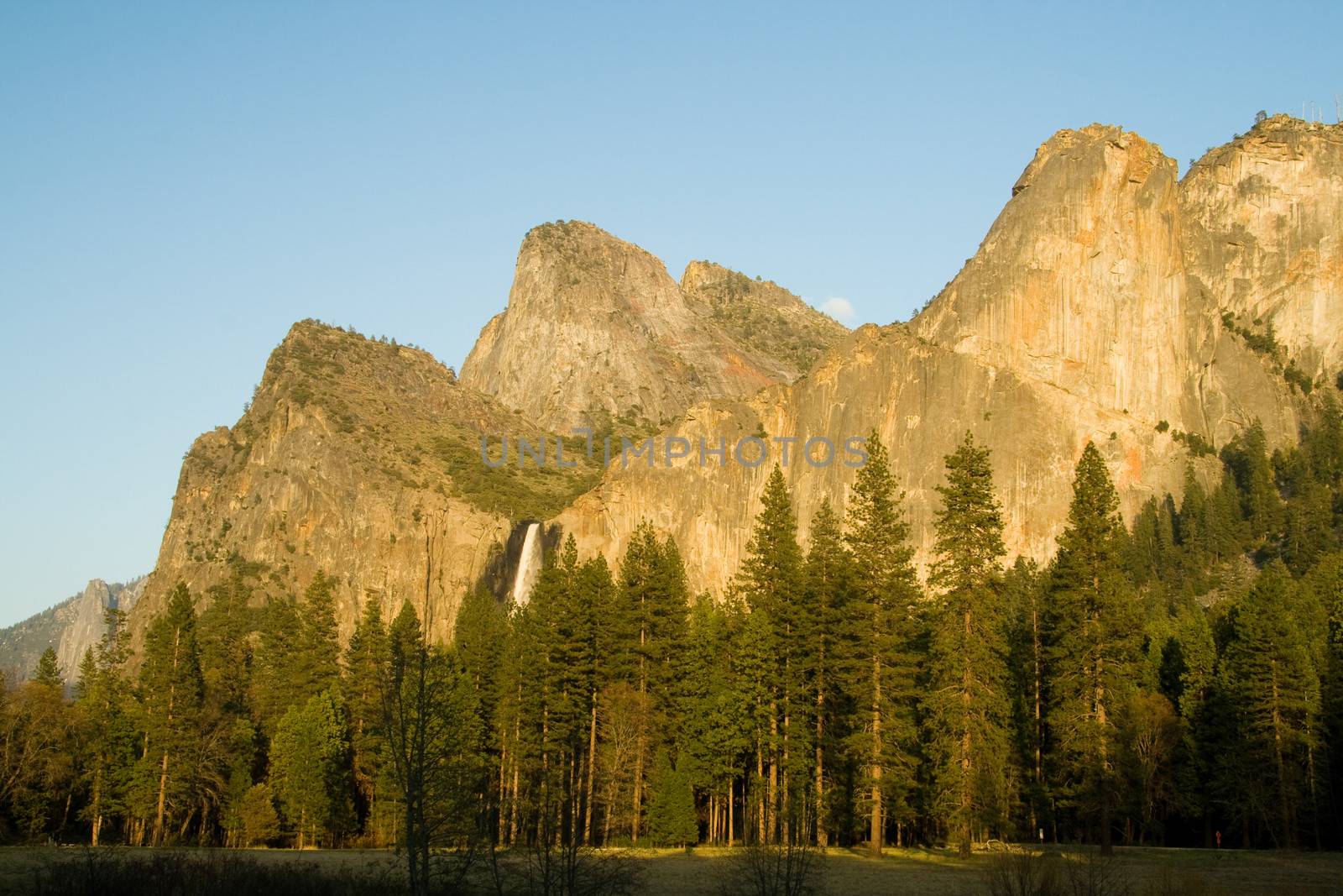Trees in a forest with mountain in the background, Bridal Veil Falls, Yosemite Valley, Yosemite National Park, California, USA