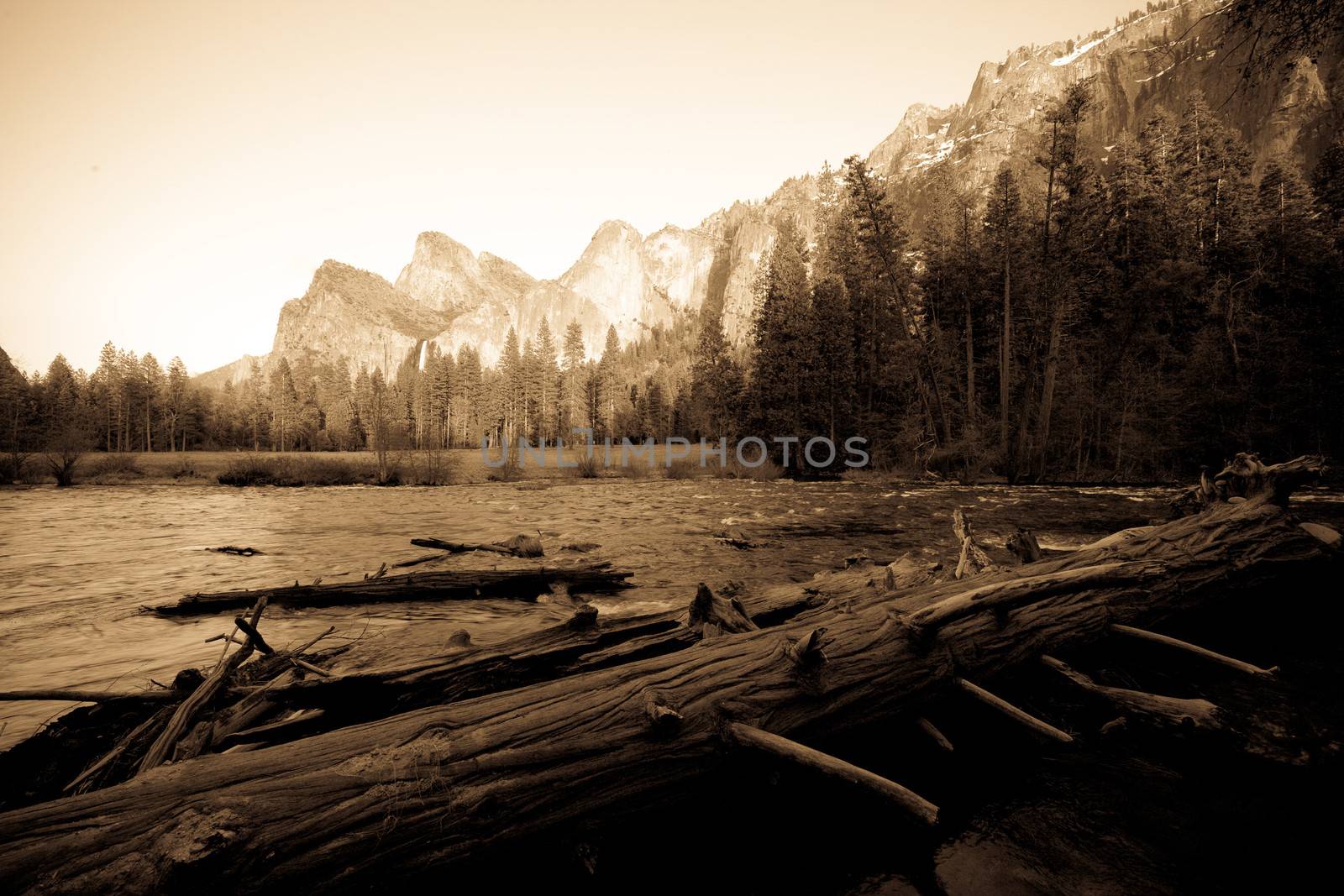 Fallen trees in a river with mountain range in the background, Bridal Veil Falls, Yosemite Valley, Yosemite National Park, California, USA