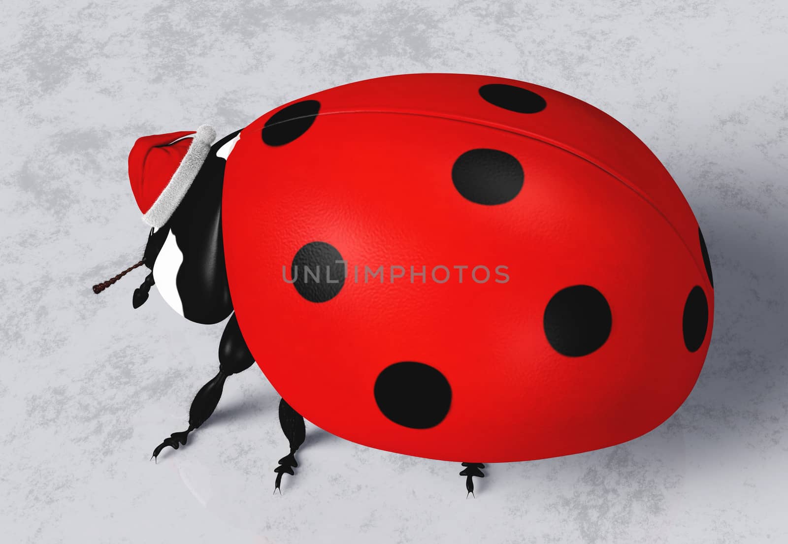 side view of a ladybird that wears on its head a Santa Claus red hat on a grey abstract ground