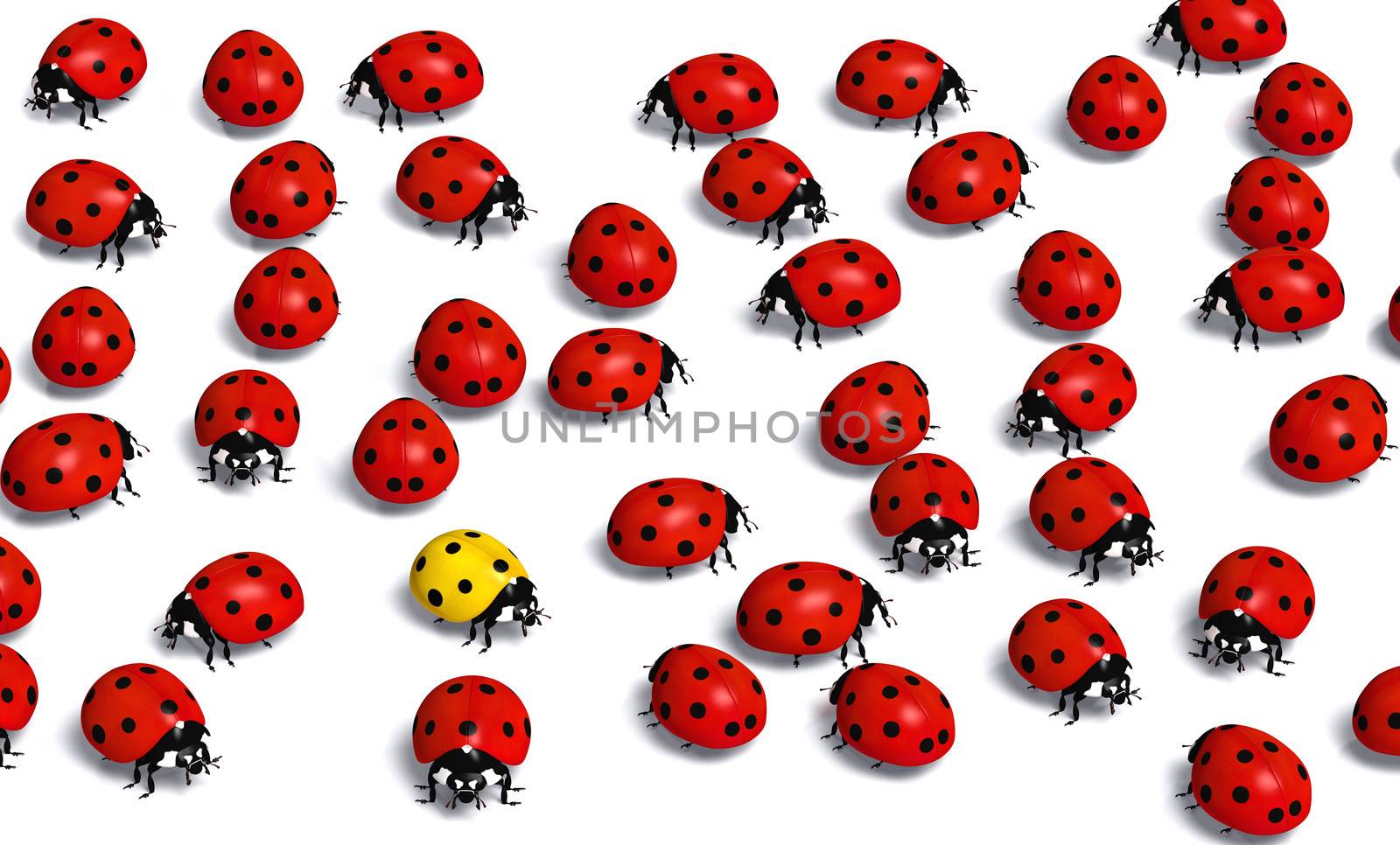 unique yellow ladybug stays in the middle of a crowd of the red ones, on a white background
