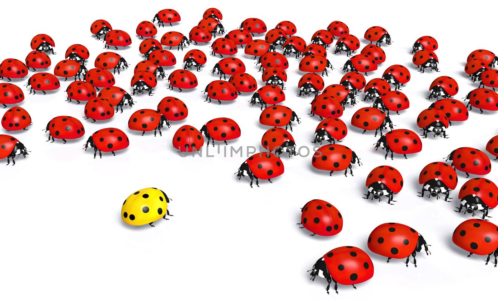 crowd of red ladybugs marginalize a yellow one taking distance from it, on a white background