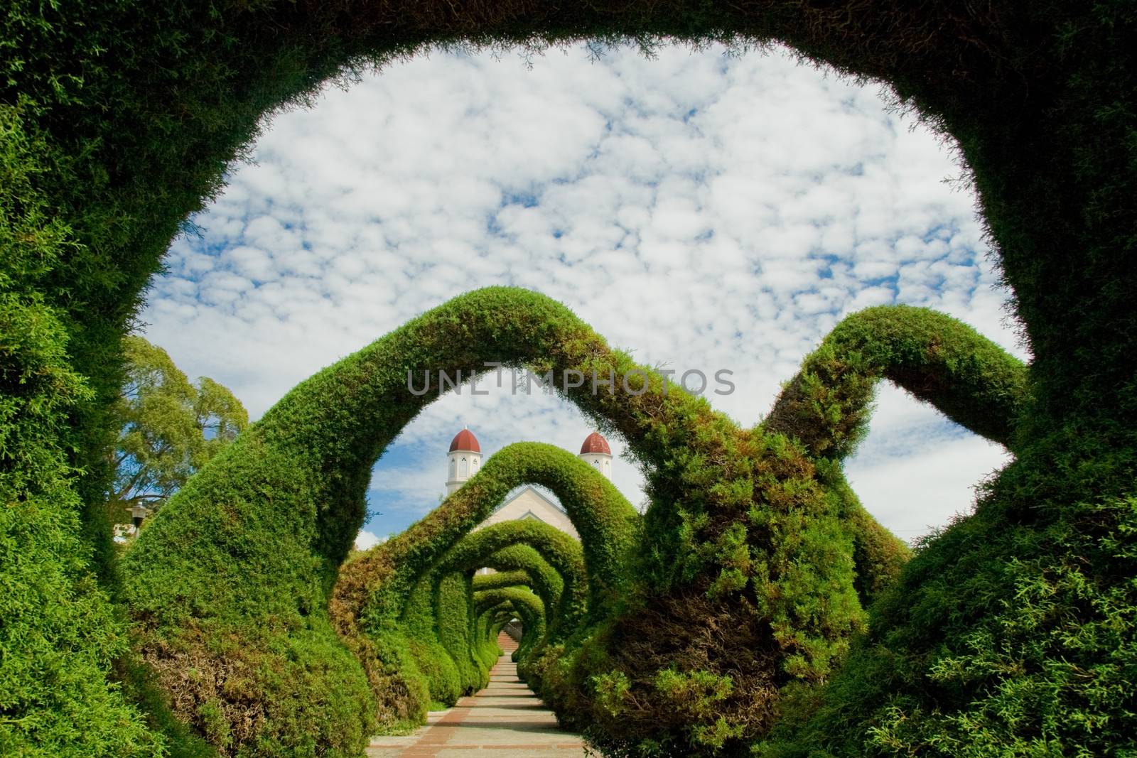 Sculpted juniper bush garden in Zarcero, Costa Rica. Hedges and bushes trimmed to form arches over a path.