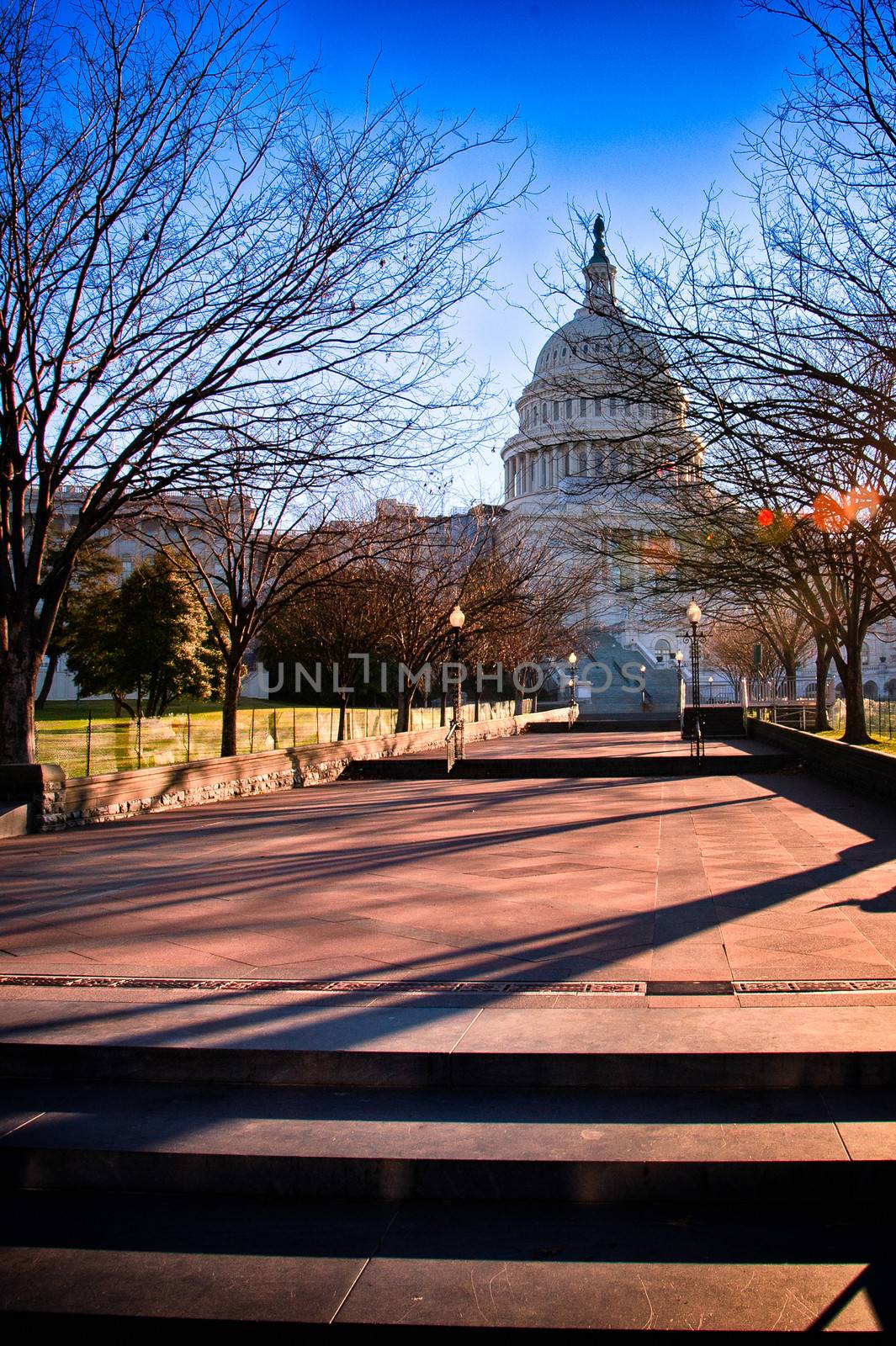 A view through a park looking at the Capitol Hill.