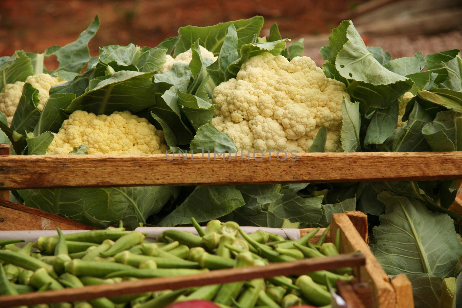 Cauliflowers in open wooden box at a market stall