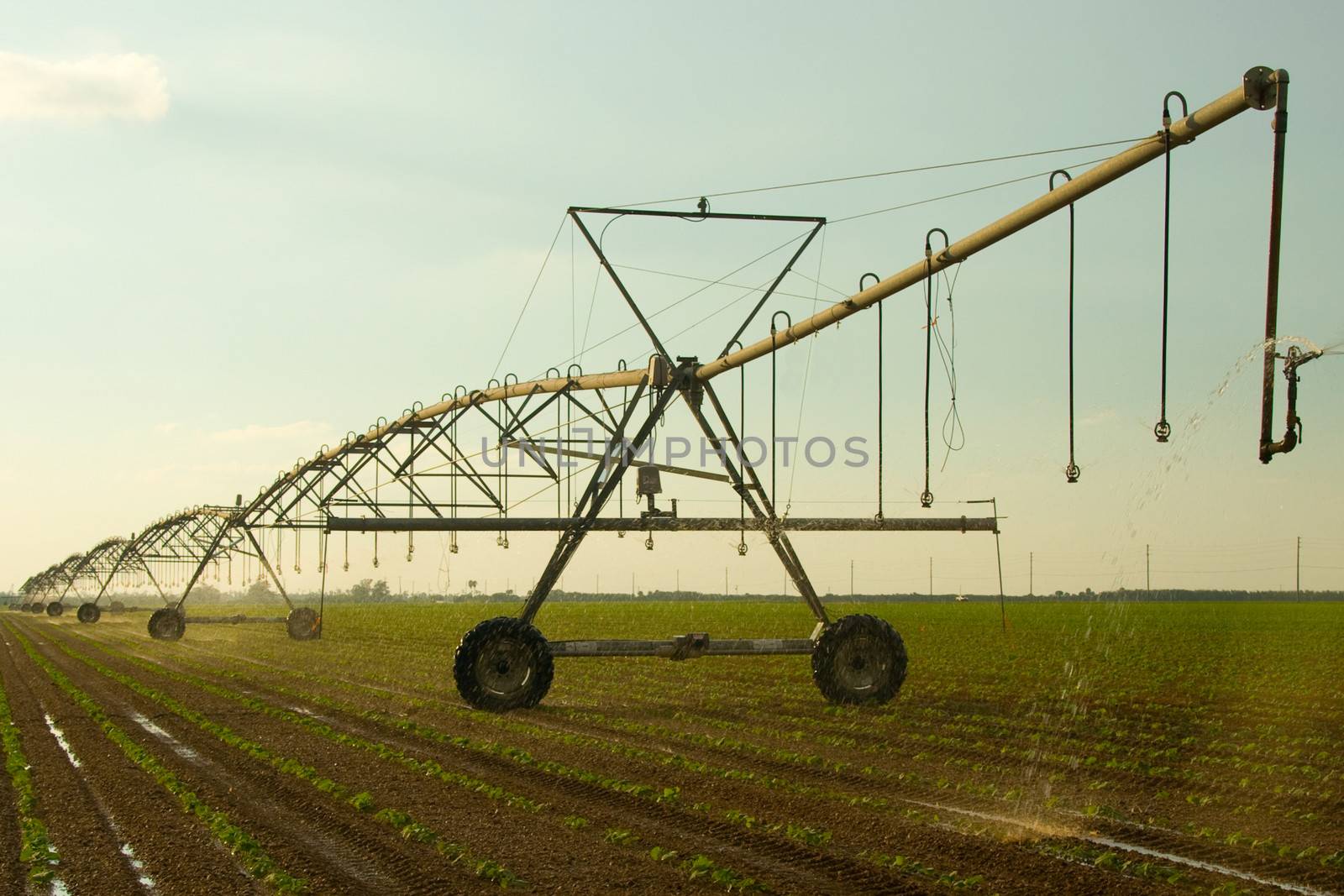 Farm irrigation by CelsoDiniz