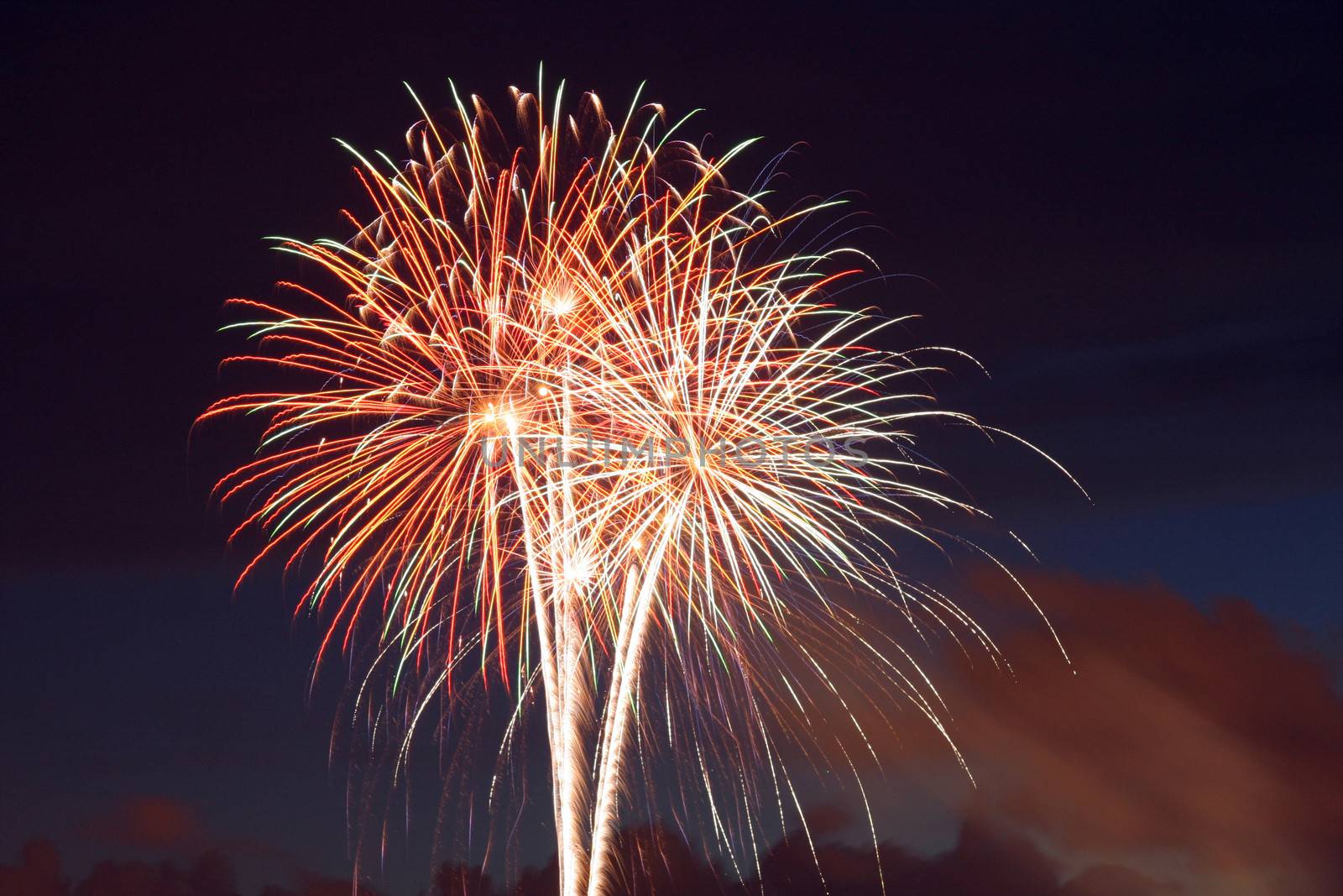 Scenic view of fireworks exploding in sky during Fourth of July celebration.