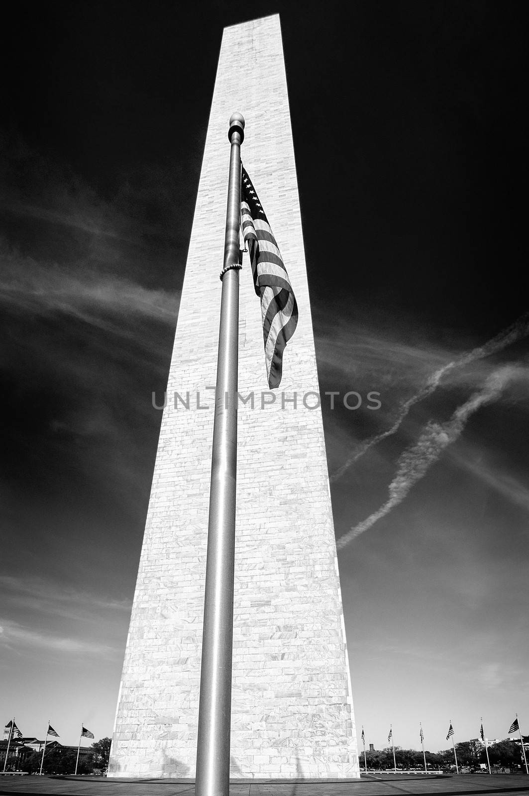Flags at Washington monument by CelsoDiniz