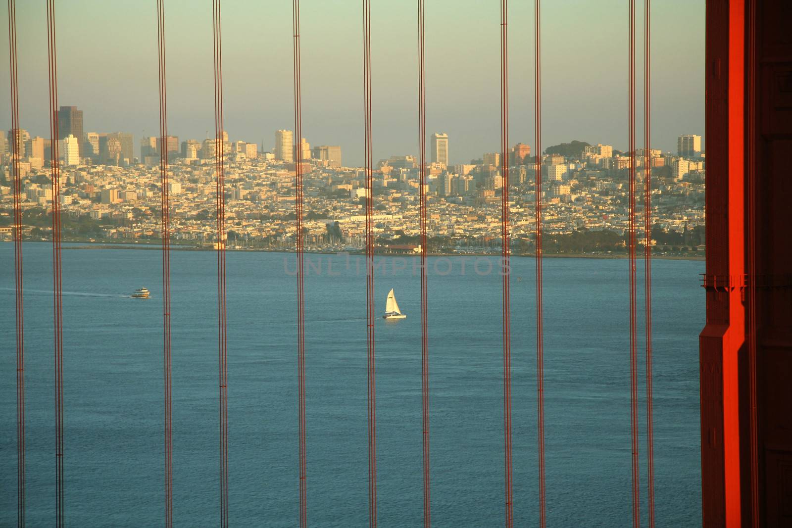 Scenic view of San Francisco skyline and Bay viewed through cables of Golden Gate Bridge, California, U.S.A.