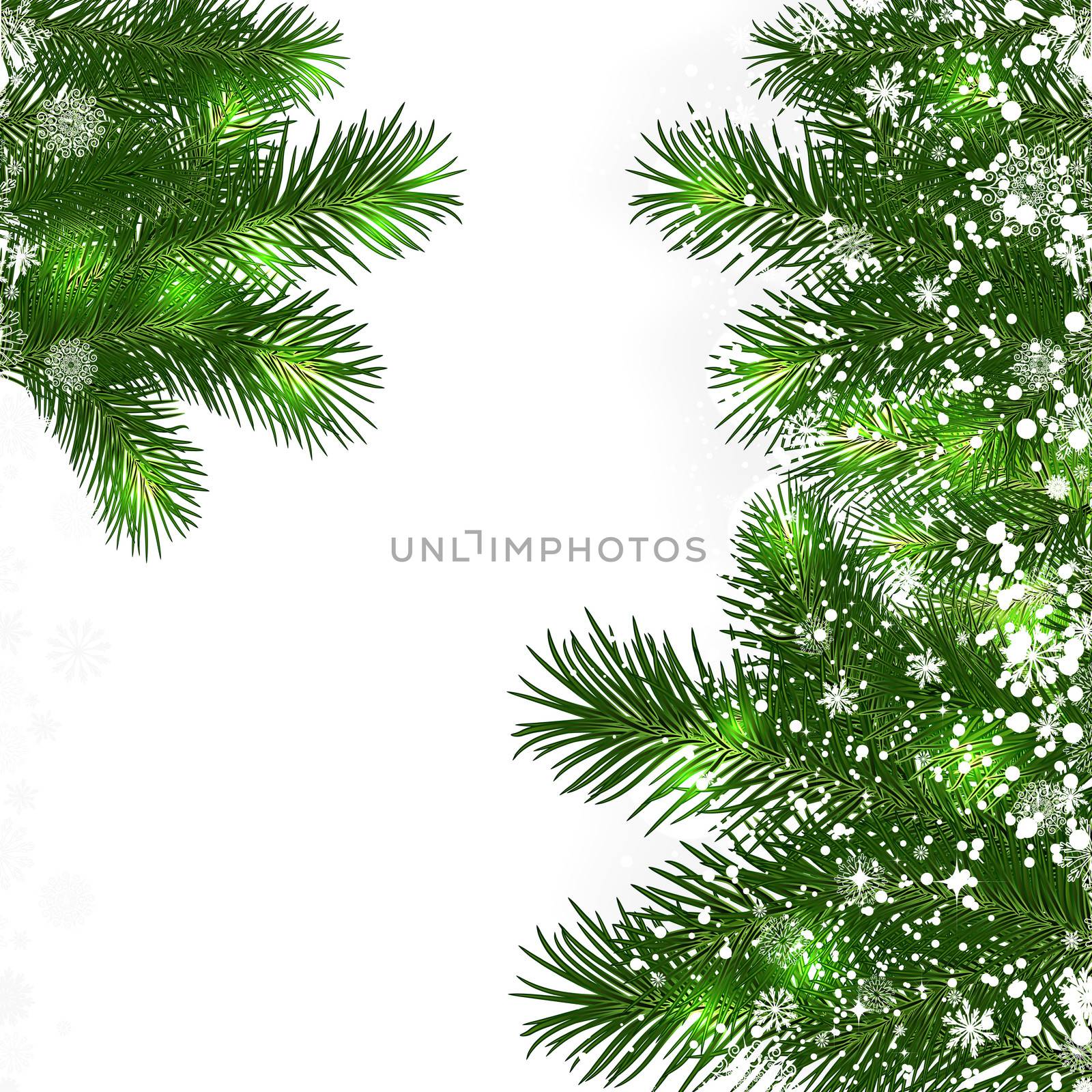 Christmas background with green branches of Christmas tree. by Itana