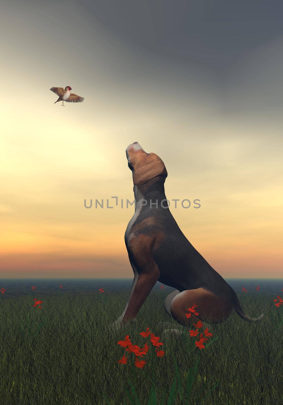 Black tan dog and butterfly - 3D render by Elenaphotos21