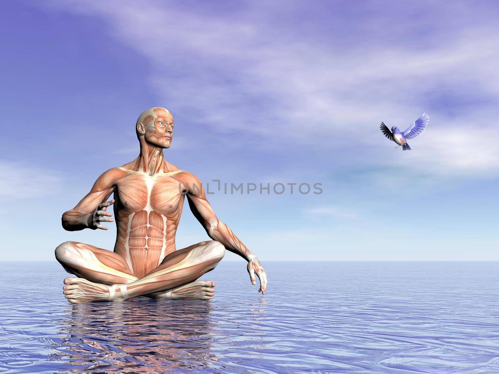 Realistic front view of man muscles sitting on water while looking at a beautiful little bird flying into day background