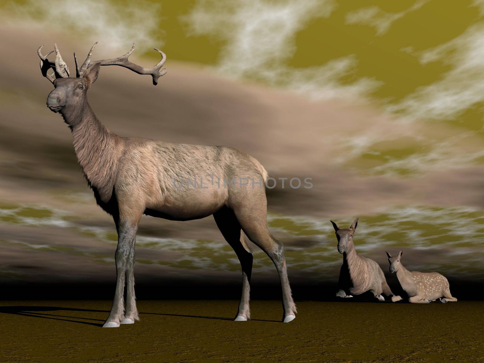 Elk male protection - 3D render by Elenaphotos21