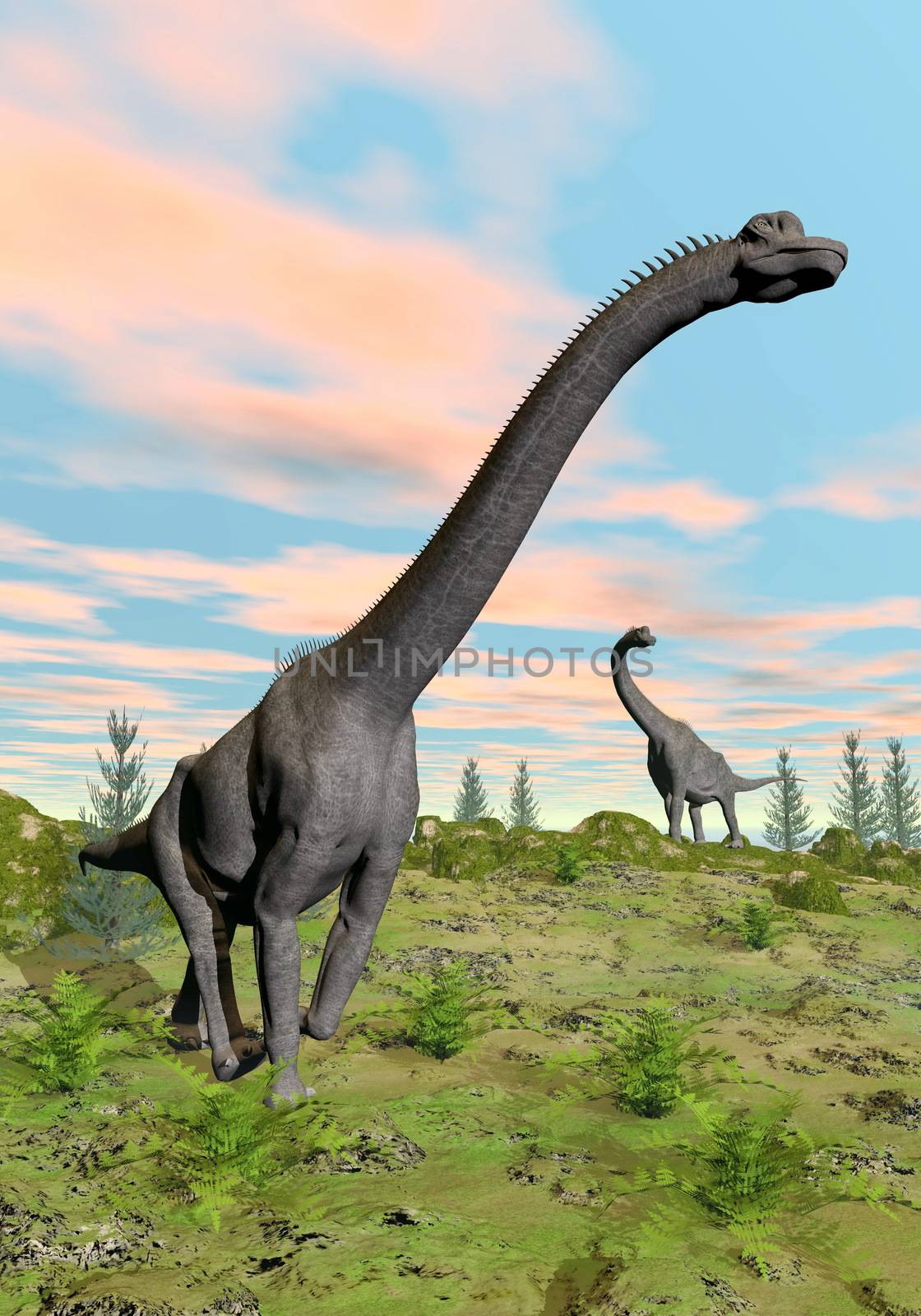 Two brachiosaurus dinosaurs in nature with green grass by colorful sunset