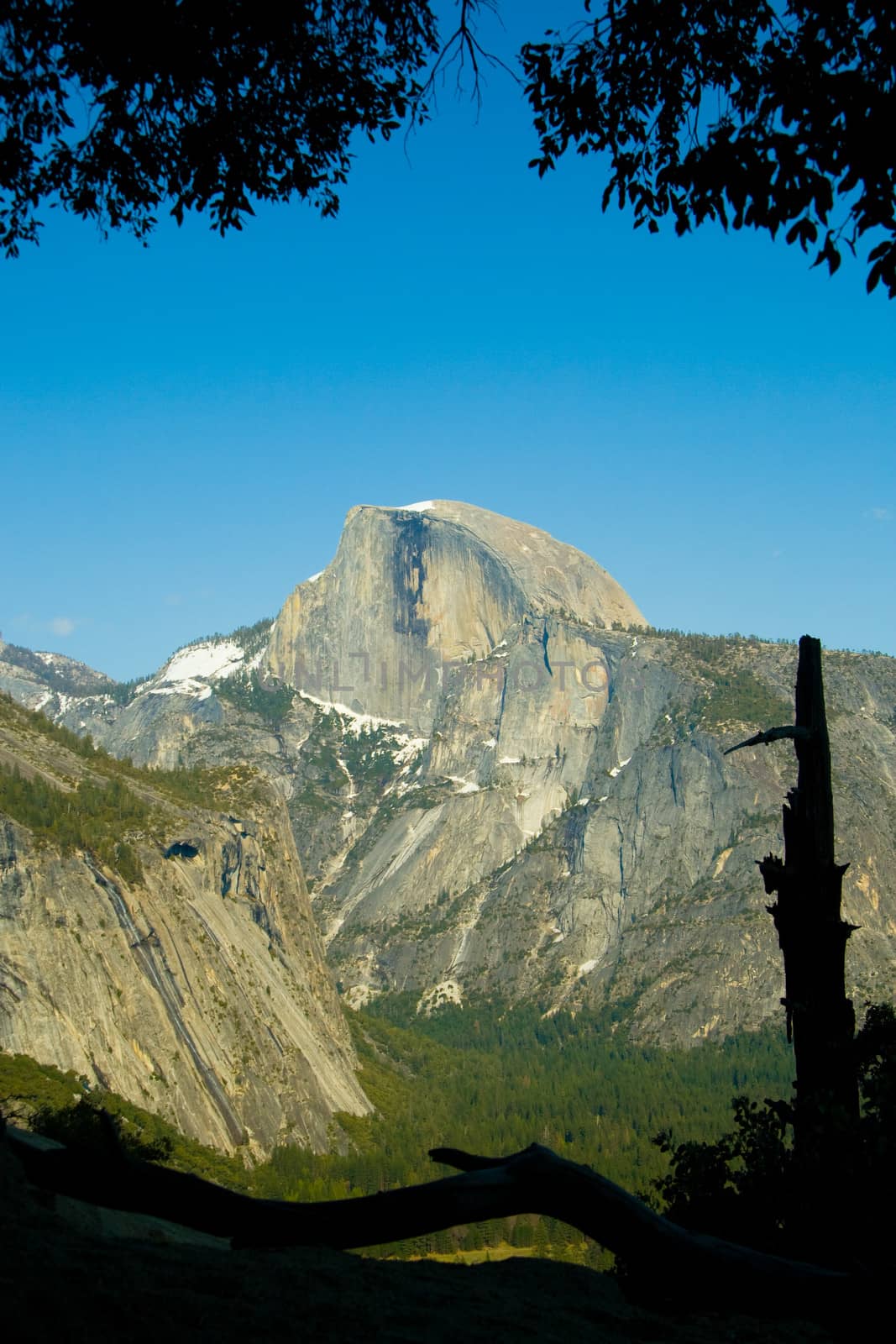 Rock formations in a valley, Half Dome, Yosemite Valley, Yosemite National Park, California, USA