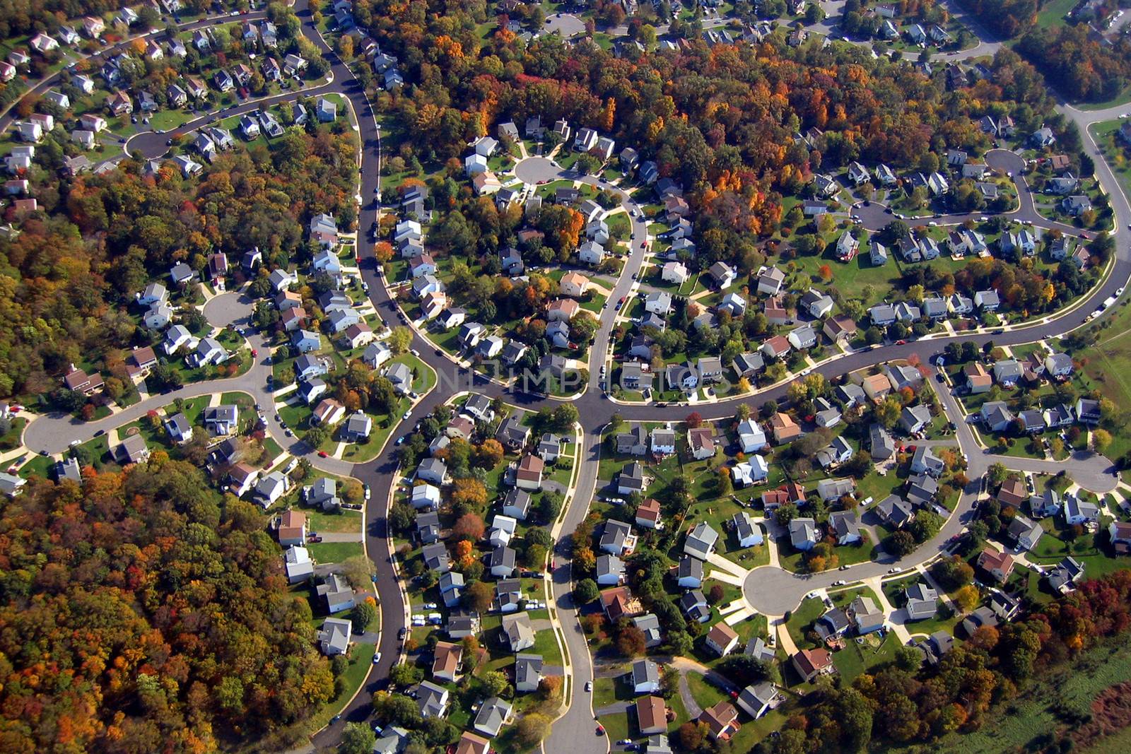 Aerial view of a suburban housing development in autumn, Washington, USA.