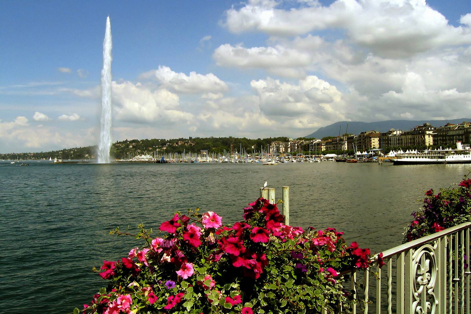 Jet d'Eau water jet on the Lake Geneva with pink flowers on the foreground, Geneva, Switzerland