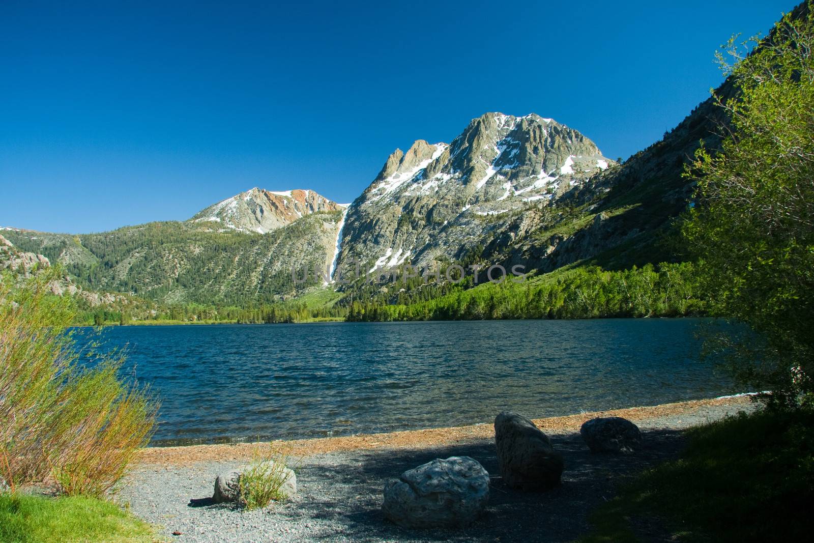 Scenic view of June Lake Loop near to Yosemite Tioga Pass, Yosemite National Park, California, U.S.A.