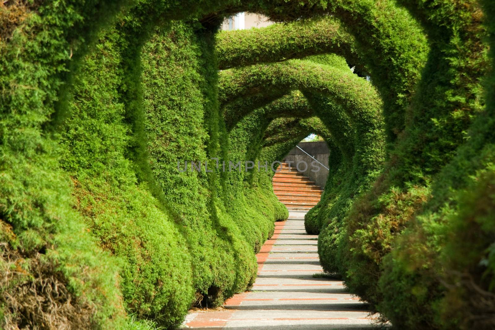 Sculpted juniper bush topiary garden in Zarcero, Costa Rica.