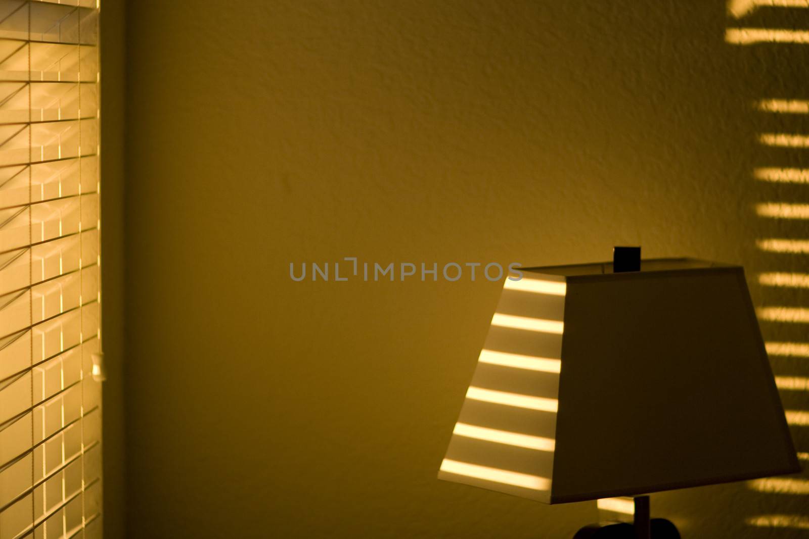 Details of a living room illuminated by the sun at late afternoon.