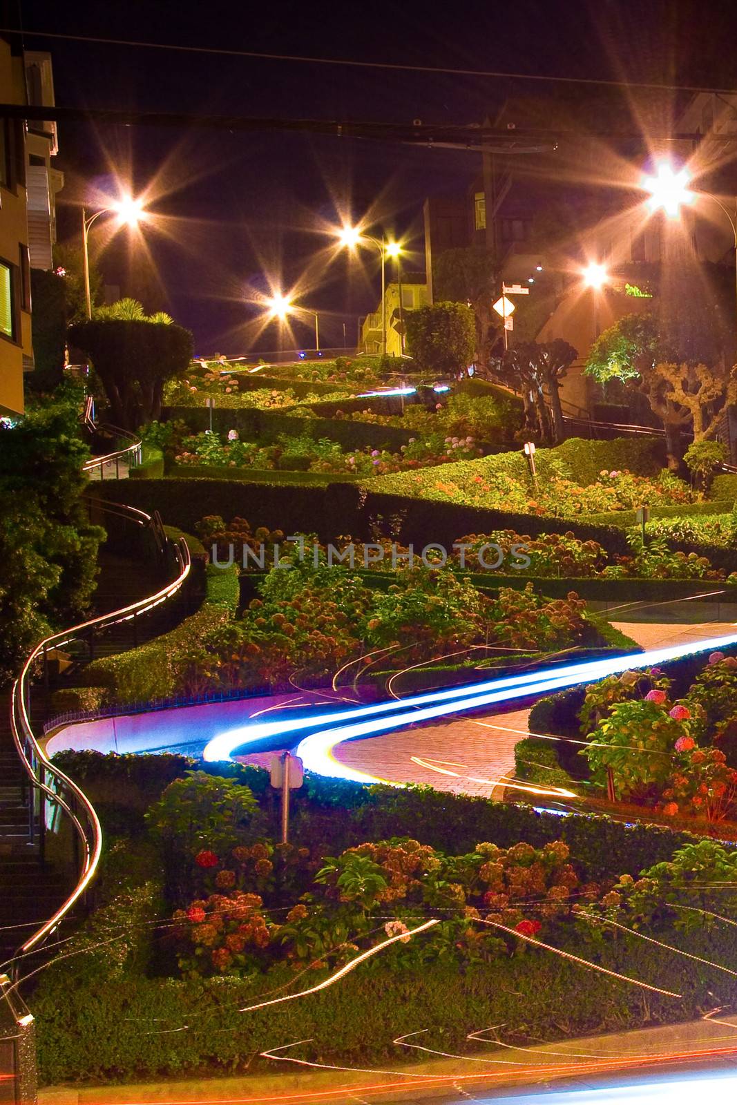 A night view of the Lombard Street in San Francisco.