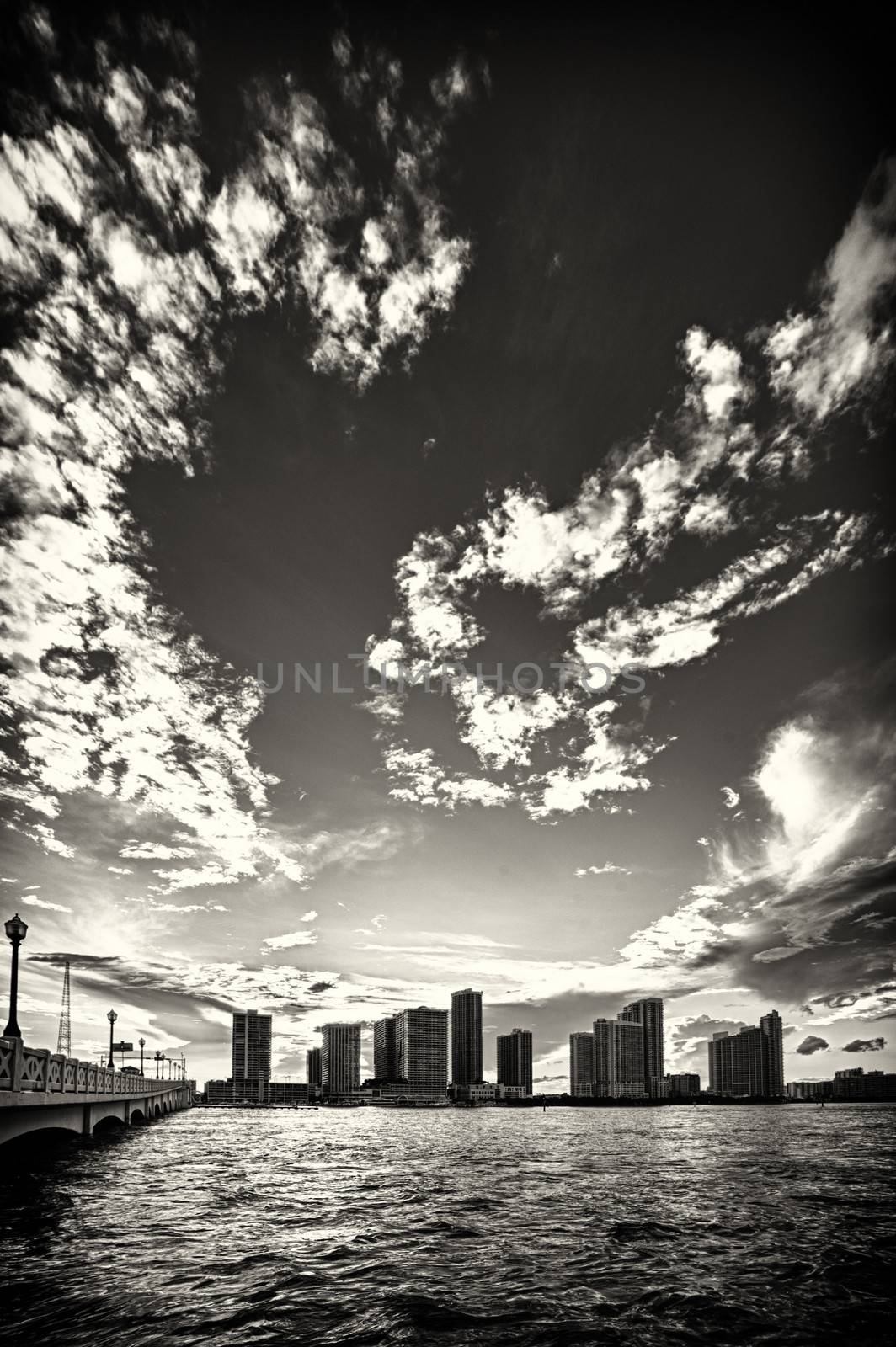 Miami city landscape by CelsoDiniz