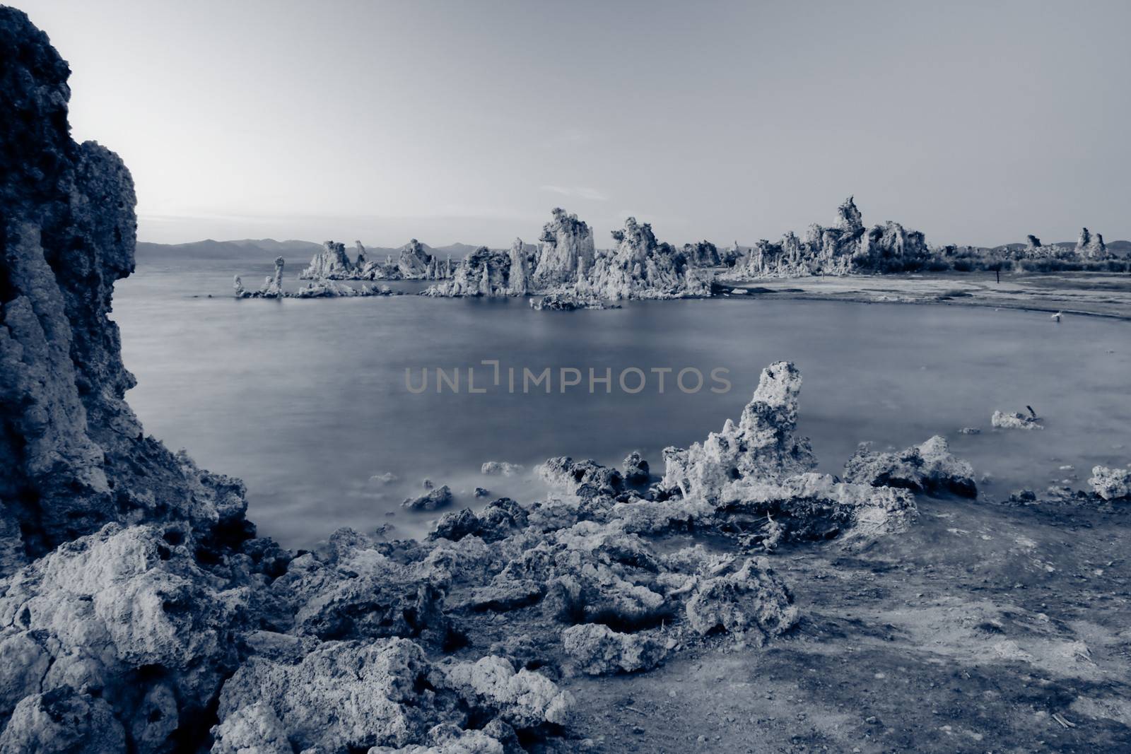 Tufa columns grow in the saline water of Mono Lake, California, USA.