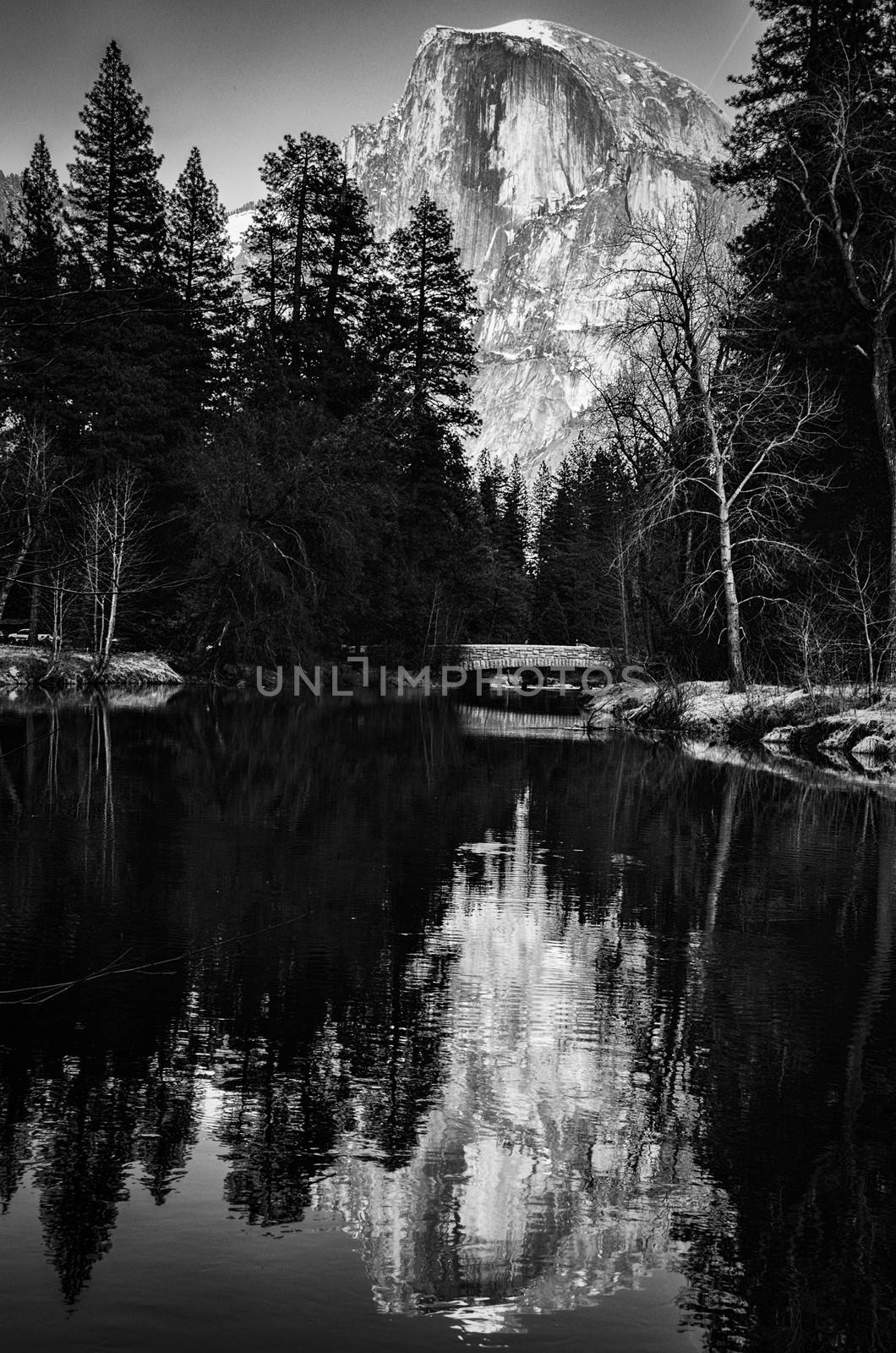 Black and white scenic view of snow capped mountain and forest reflected on lake.