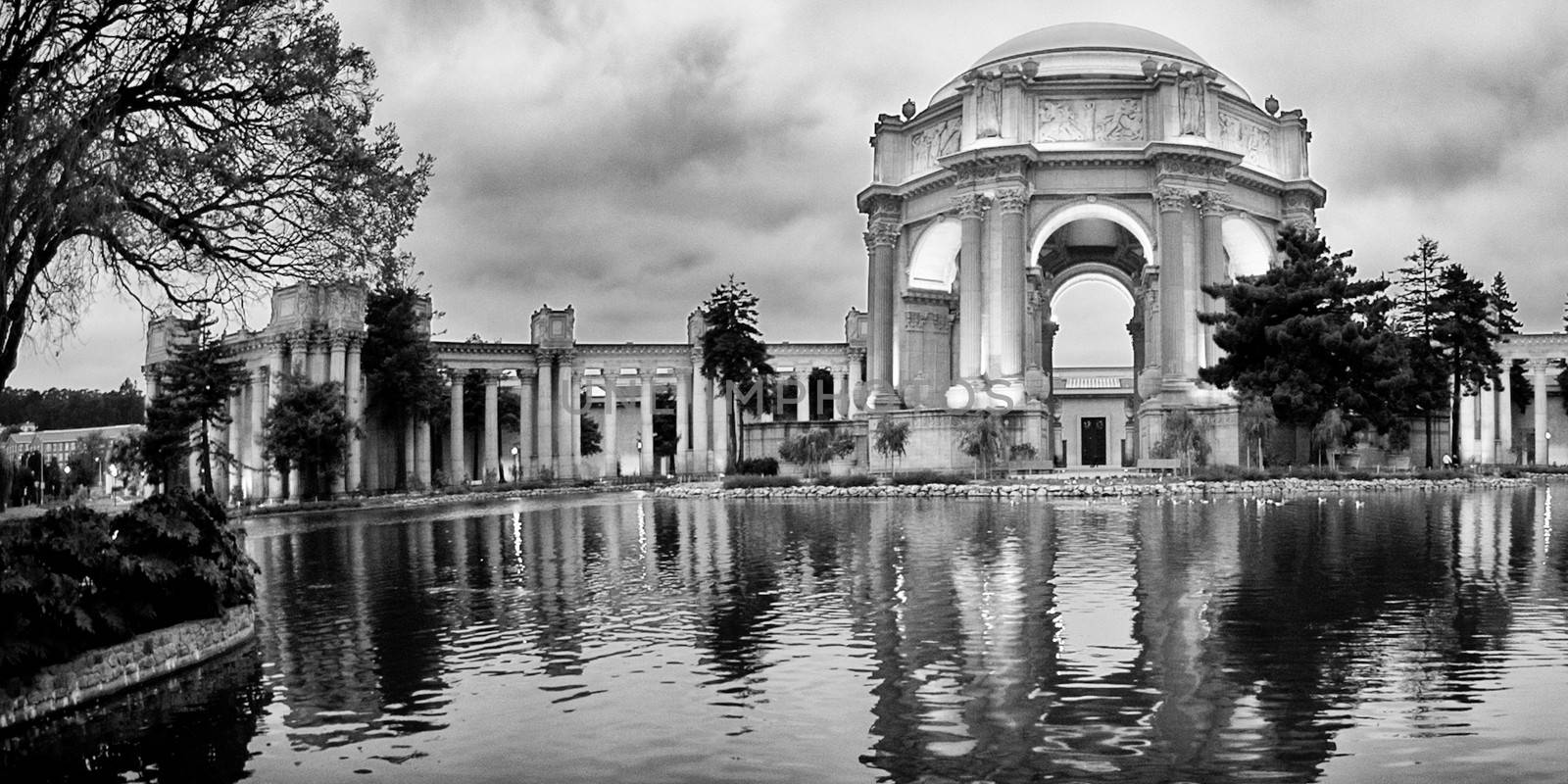 Reflection of Palace Of Fine Arts, Marina District, San Francisc by CelsoDiniz