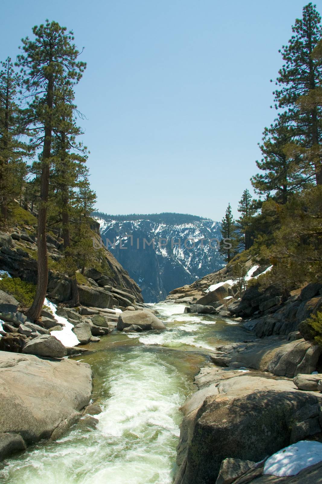 River flowing through a forest, Yosemite Falls, Yosemite Valley, Yosemite National Park, California, USA