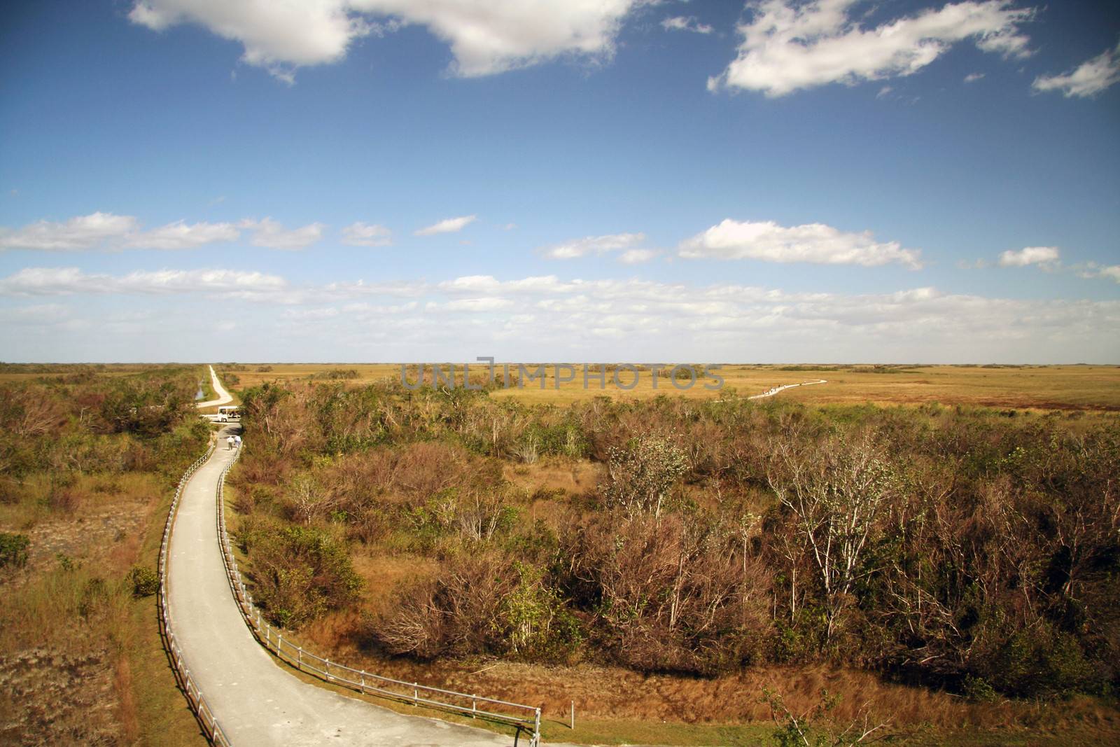 Scenic view of road receding through Shark Valley in the Everglades National Park, Miami, Florida, U.S.A.