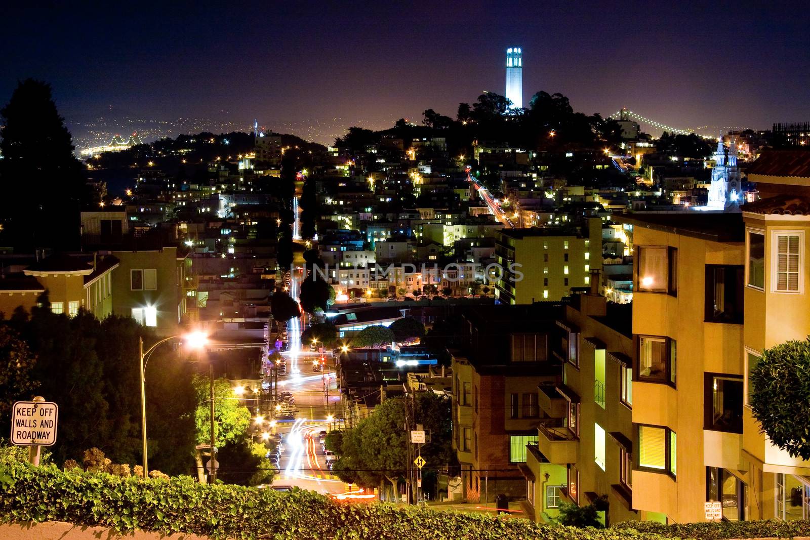 Scenic view of Coit tower viewed from Lombard Street at night, San Francisco, California, U.S.A.