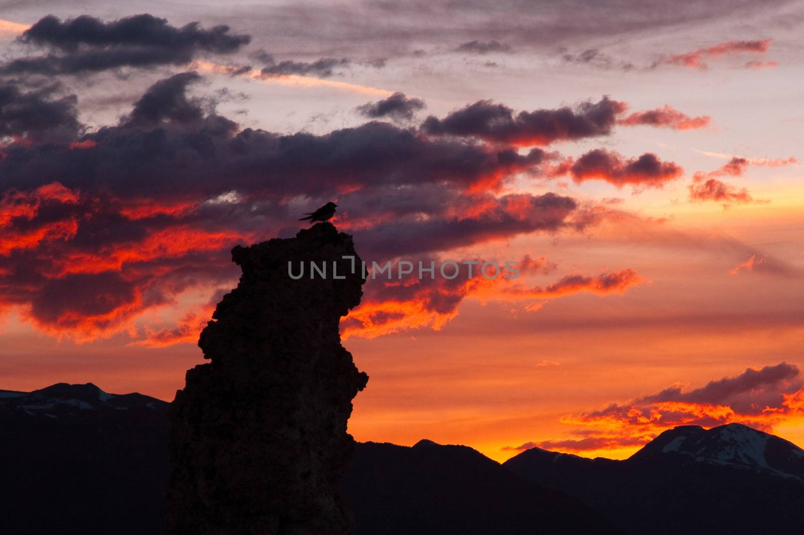 Silhouette of Tufa rock formations at dusk, Tioga Pass, Yosemite National Park, California, USA