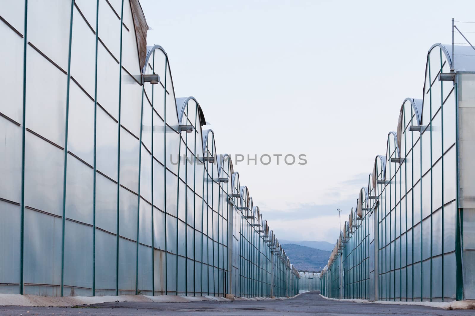 Industrial greenhouse endless glass window row by PiLens