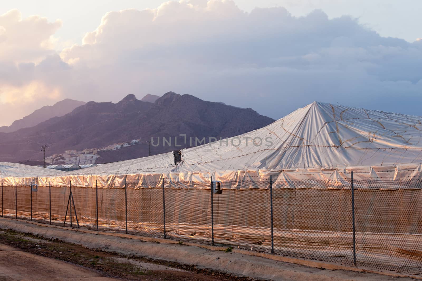 Large scale industrial plastic greenhouse in Spain by PiLens