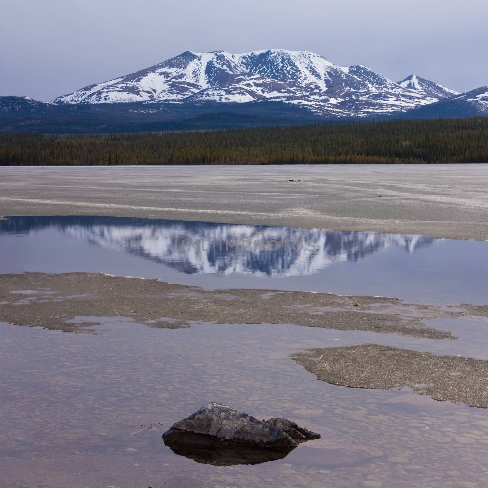 Little Peak reflection Fox Lake Yukon T Canada by PiLens