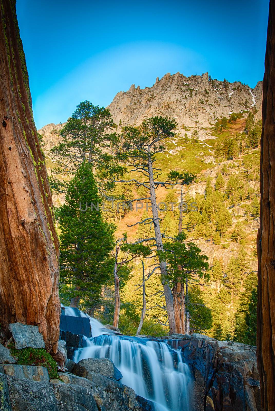 Trees and rocks on a hill, Lake Tahoe, Sierra Nevada, California, USA