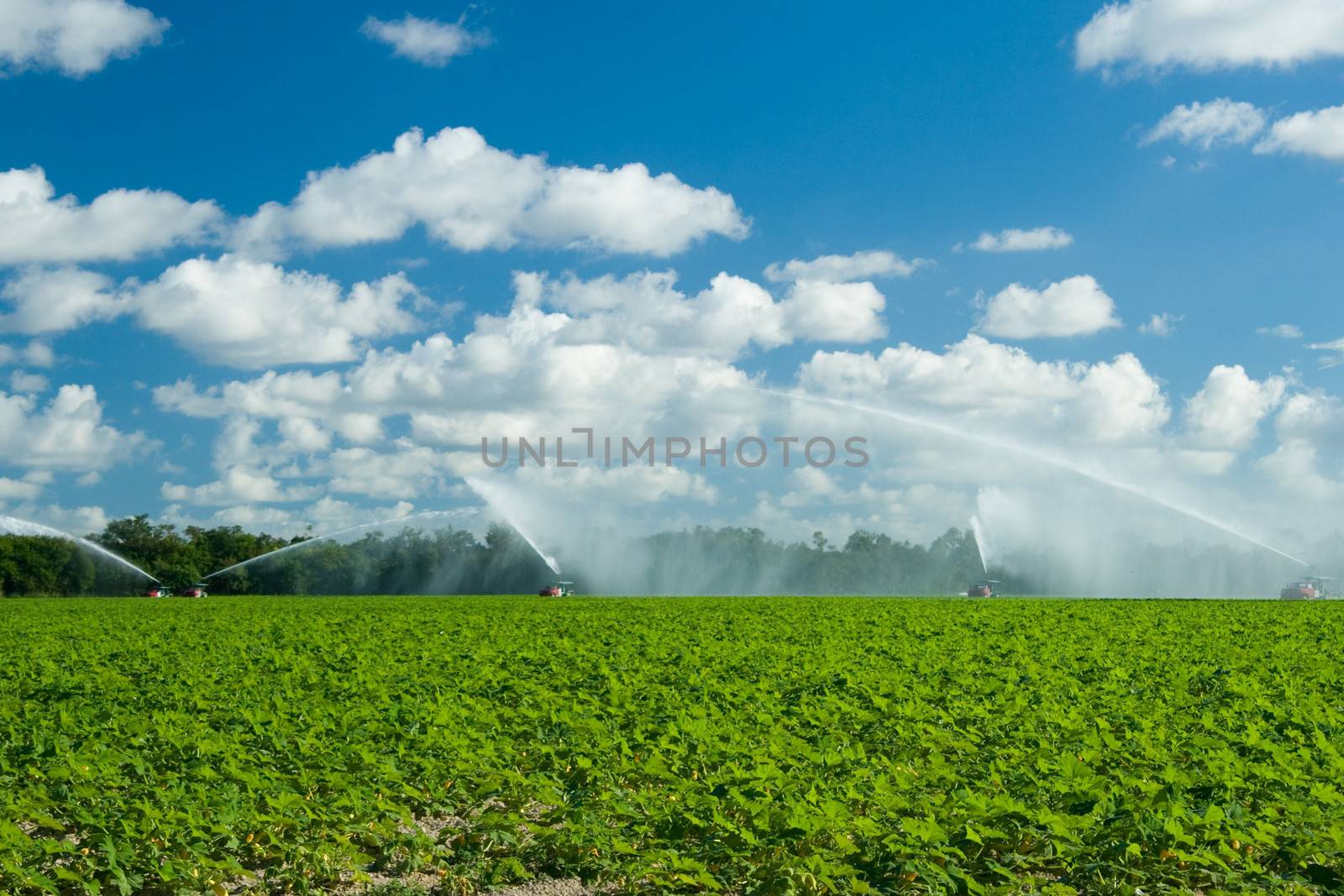 Scenic view of trucks irrigating lush green field in countryside, blue sky and cloudscape background.