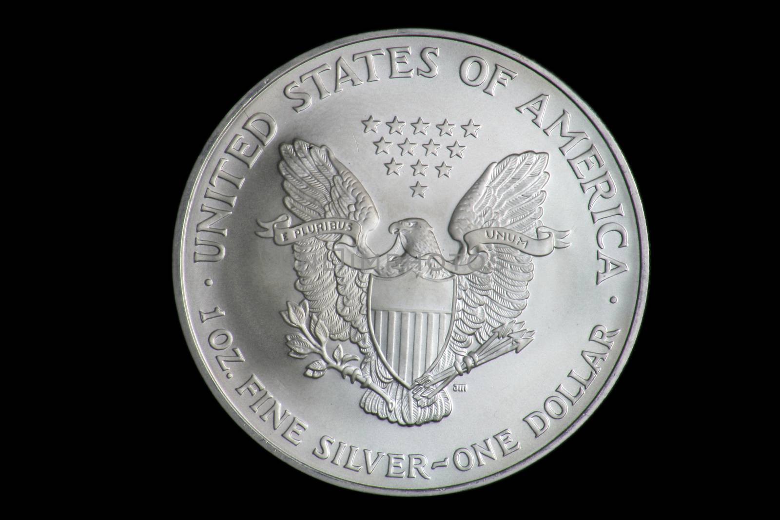 US One Ounce Fine Silver Dollar by CelsoDiniz