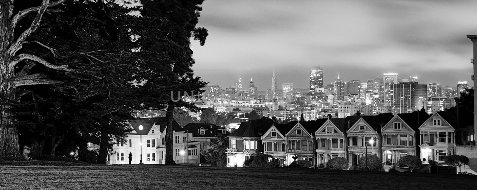 Victorian style houses, Alamo Square, San Francisco, California, by CelsoDiniz