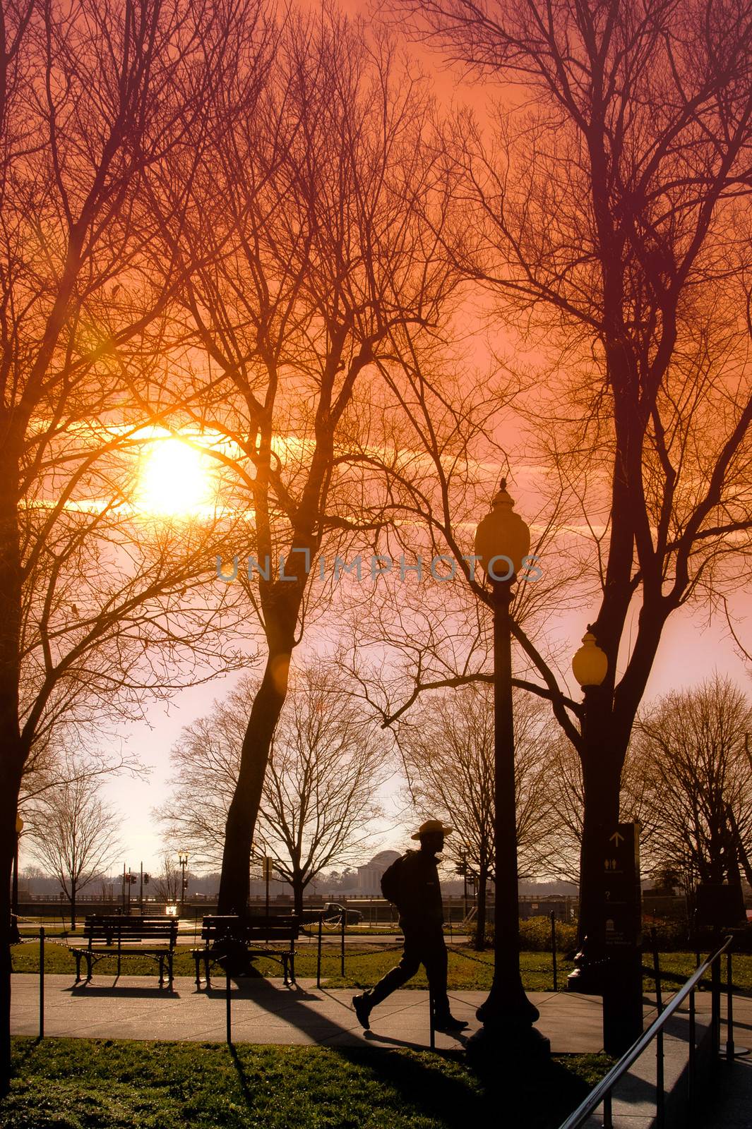 Silhouetted man walking in park with colorful sunset background.